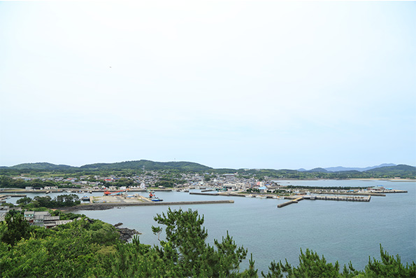 小値賀島ってこんな島