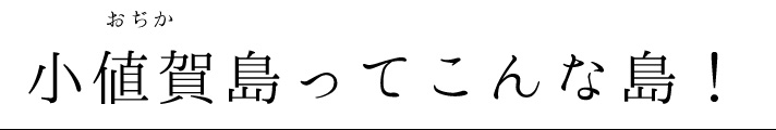 小値賀島ってこんな島！