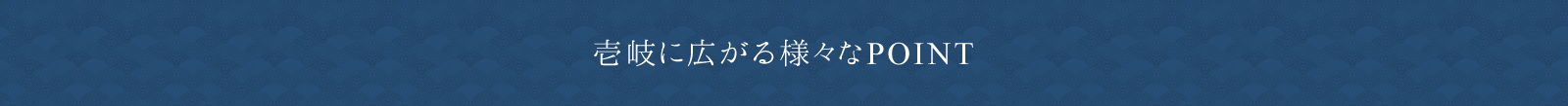 壱岐に広がる様々なPOINT