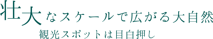 観光スポット