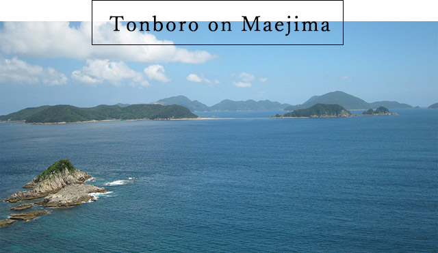 Tonboro on Maejima