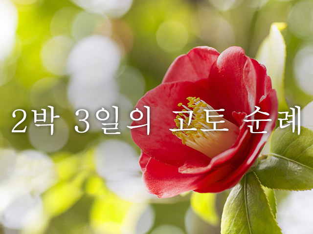 2박 3일의 고토 순례