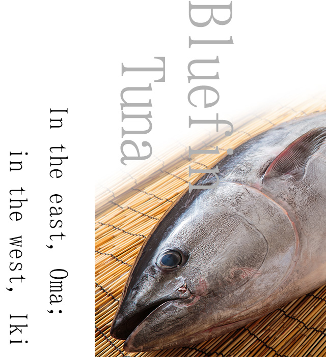 Bluefin Tuna