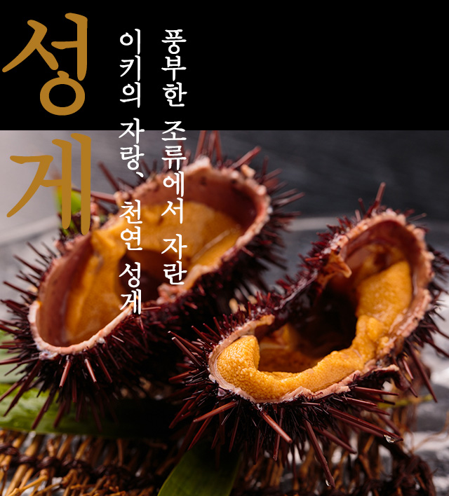 성게