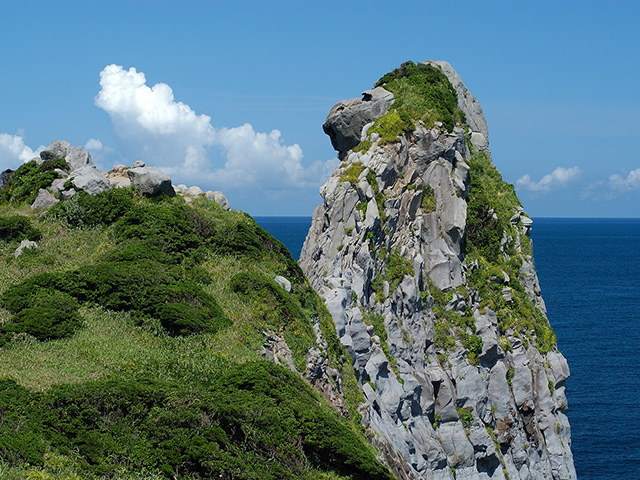 さる岩