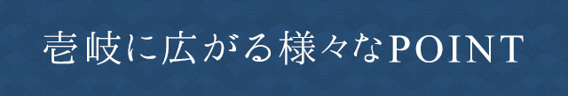 ★壱岐に広がる様々なPOINT