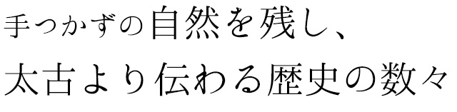 手つかずの自然を残し